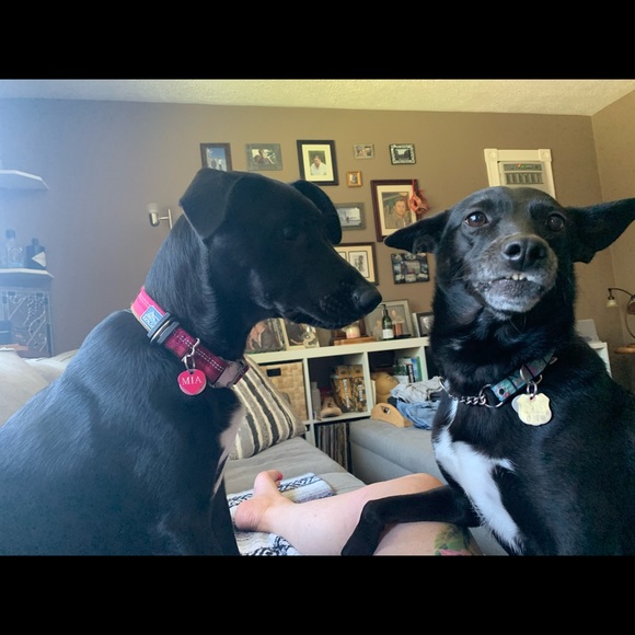 Meet your Posher, Rona - Picture 1 of 2